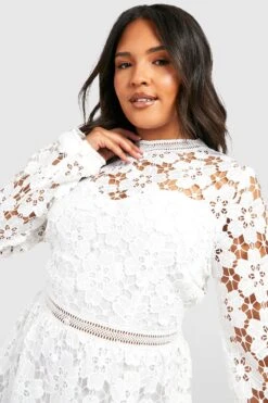 Grande Taille - Robe Patineuse Premium à Dentelle -BOOHO Kleidung Magasin pzz01459 ivory xl 3